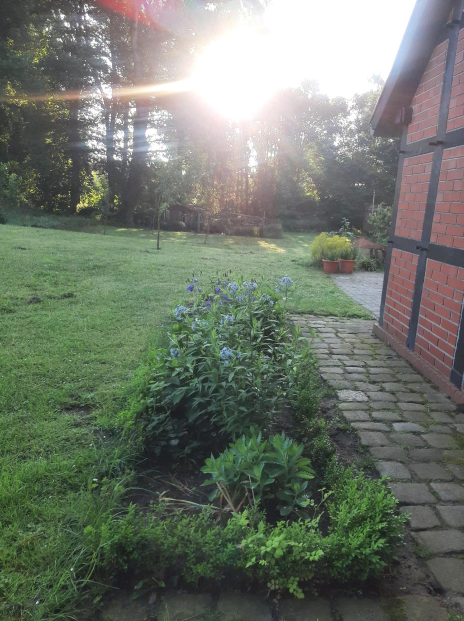 Ferienwohnung Auf Dem Land 라드베르겐 외부 사진