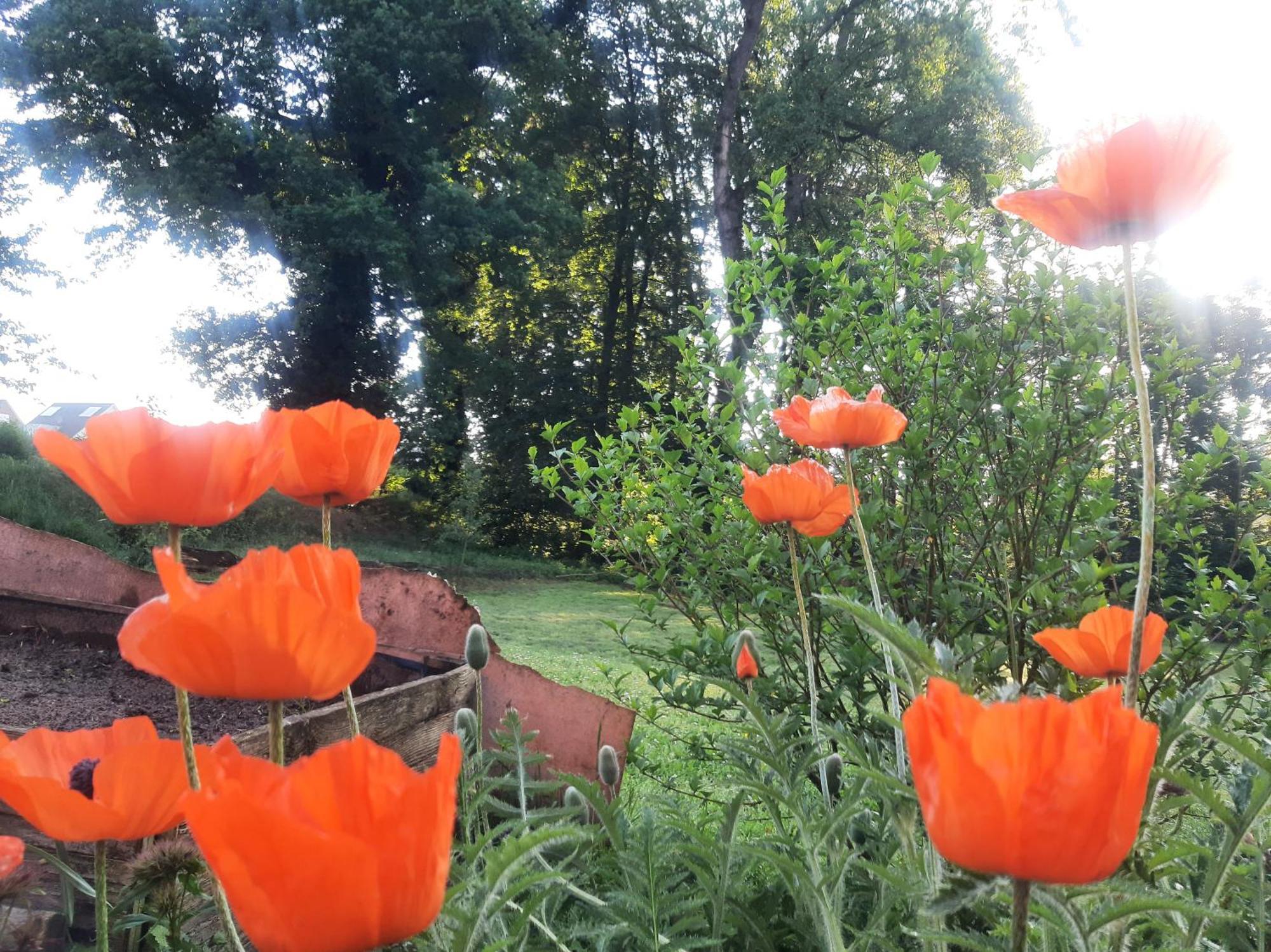 Ferienwohnung Auf Dem Land 라드베르겐 외부 사진