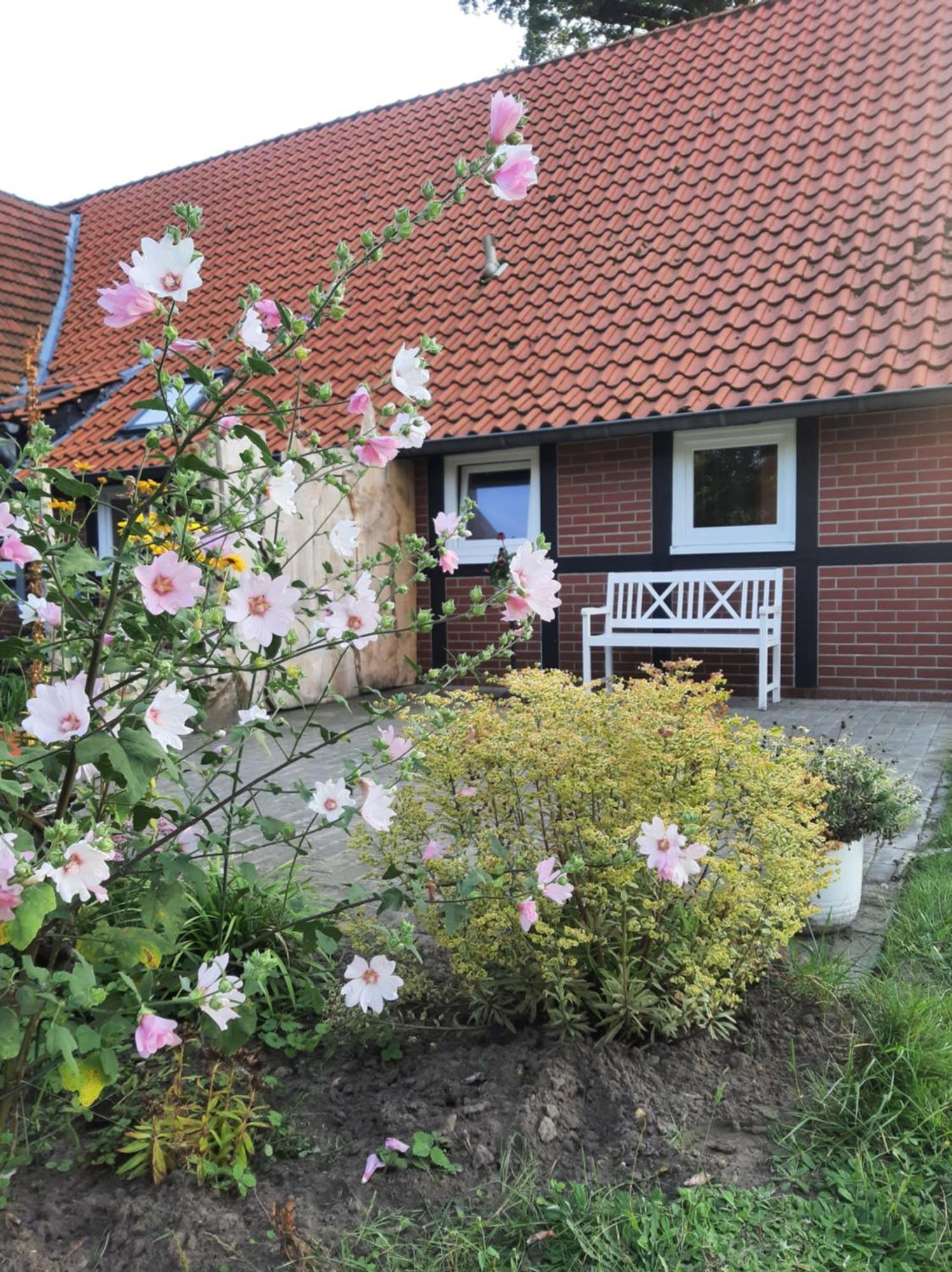 Ferienwohnung Auf Dem Land 라드베르겐 외부 사진